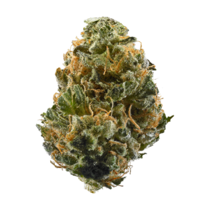 buy gorilla runtz strain canada